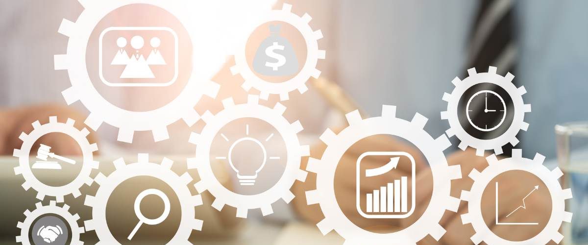 Why do you need a political divorce consultant?